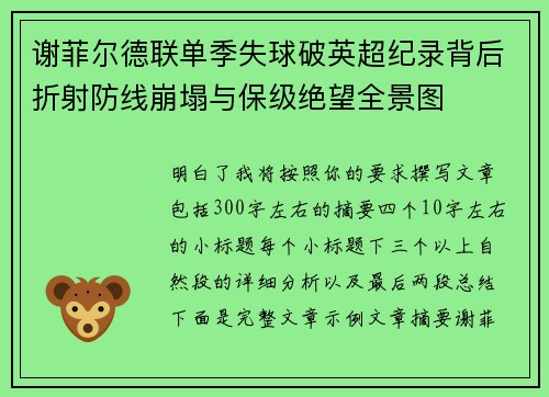 谢菲尔德联单季失球破英超纪录背后折射防线崩塌与保级绝望全景图